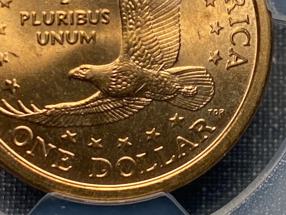 error dollar coins us wounded Eagle - Image 3 of 3