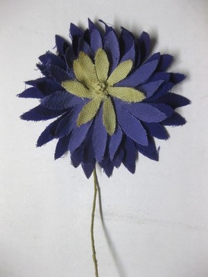 WHW-RSS,  Aster,  Tieste 017.2