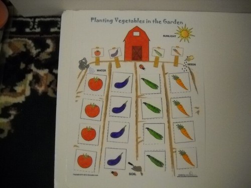 Educational Math Interactive Garden Games Set Of 3 Laminated Versatile Brand New - Picture 2 of 4