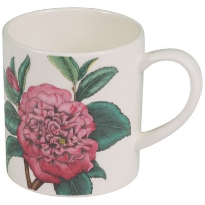 Portmeirion Bloom Garden Rose Kaffeebecher 275 ml Floral Weiß Tasse