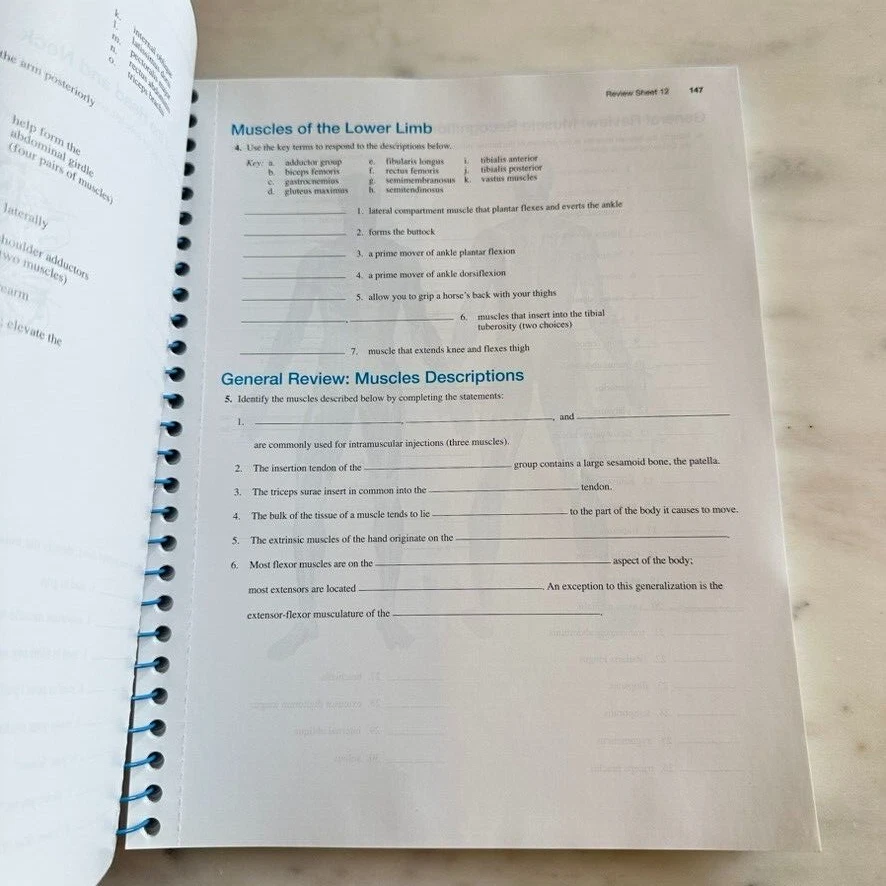 Laboratory Manual For Anatomy And Physiology by Elaine N Marieb - Image 3 of 4