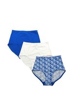 Rhonda Shear 3-pack Smoothing Brief Light Blue Tie Dye/White