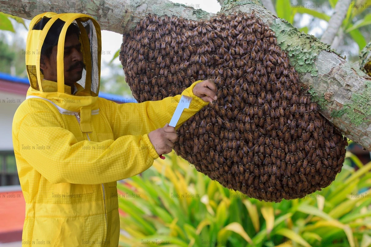 Why so many new beekeepers quit - Honey Bee Suite