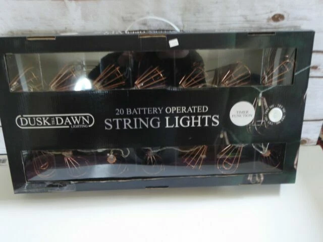 Battery Less Than 20 Lights Indoor Fairy Lights