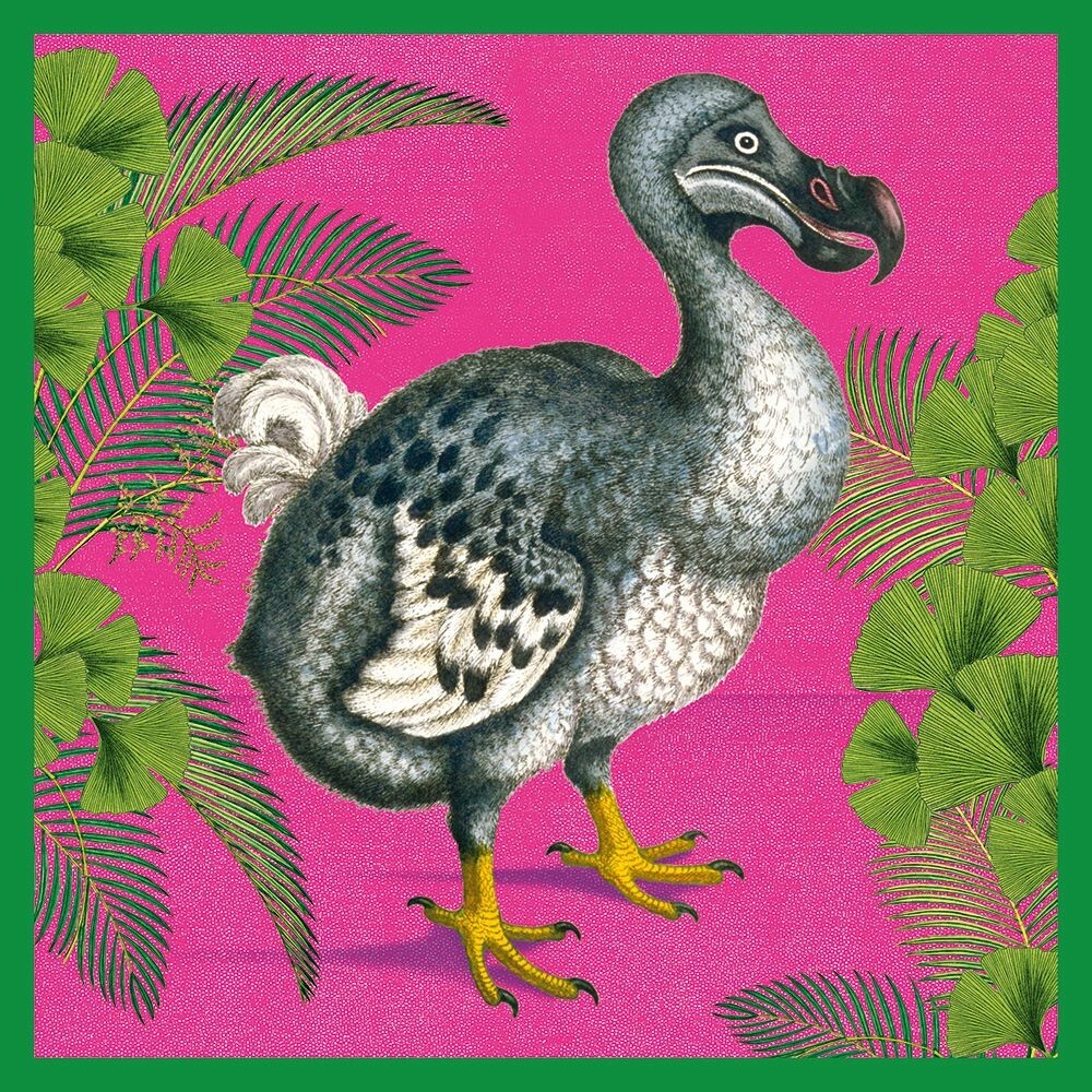 Natural History Museum Dodo Blank Greeting Card with Envelope