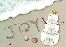 Merry Christmas Joy Shells Seashell Seashells Sand Greeting Cards - Set of 2