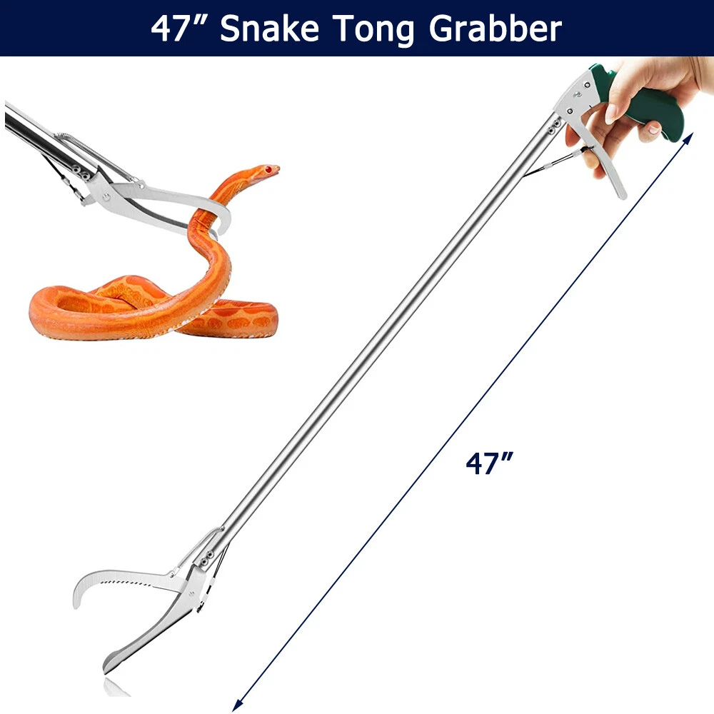 Odvratnost fotografija Propadanje tong 47 sustići paritet pijanista