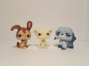 littlest pet shop calendar 2018