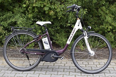 raleigh dover electric bike