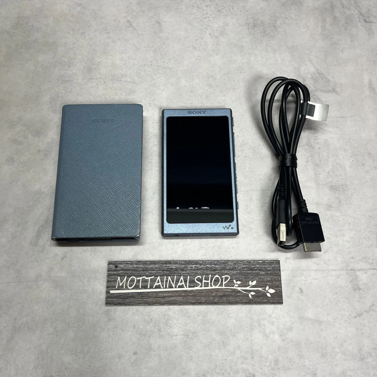 Sony NW-A46 Walkman gris 32 Go lecteur audio portable haute résolution testé ...