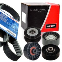Bosch 6PK1195 Keilrippenriemen-Satz + Freilauf FüR Fiat Idea Punto Lancia