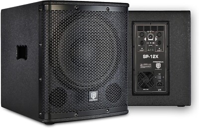RK RECK SP-12X 1000W Active Powered DJ Subwoofer For live