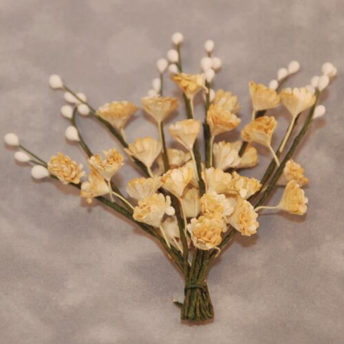 Creme Maulbeer Papier Gypsophila Kartenherstellung Handwerk Verzierung Blumen Gyps003