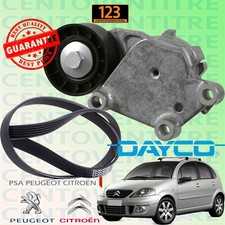 CINGHIA SERVIZI POLY-V + TENDICINGHIA CITROEN C3 I - C3 PLURIEL 1.4  / 1.6 HDI