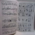 1993 United Features Comics, promo for newspaper, Peanuts, Nancy, Garfield — photo 2