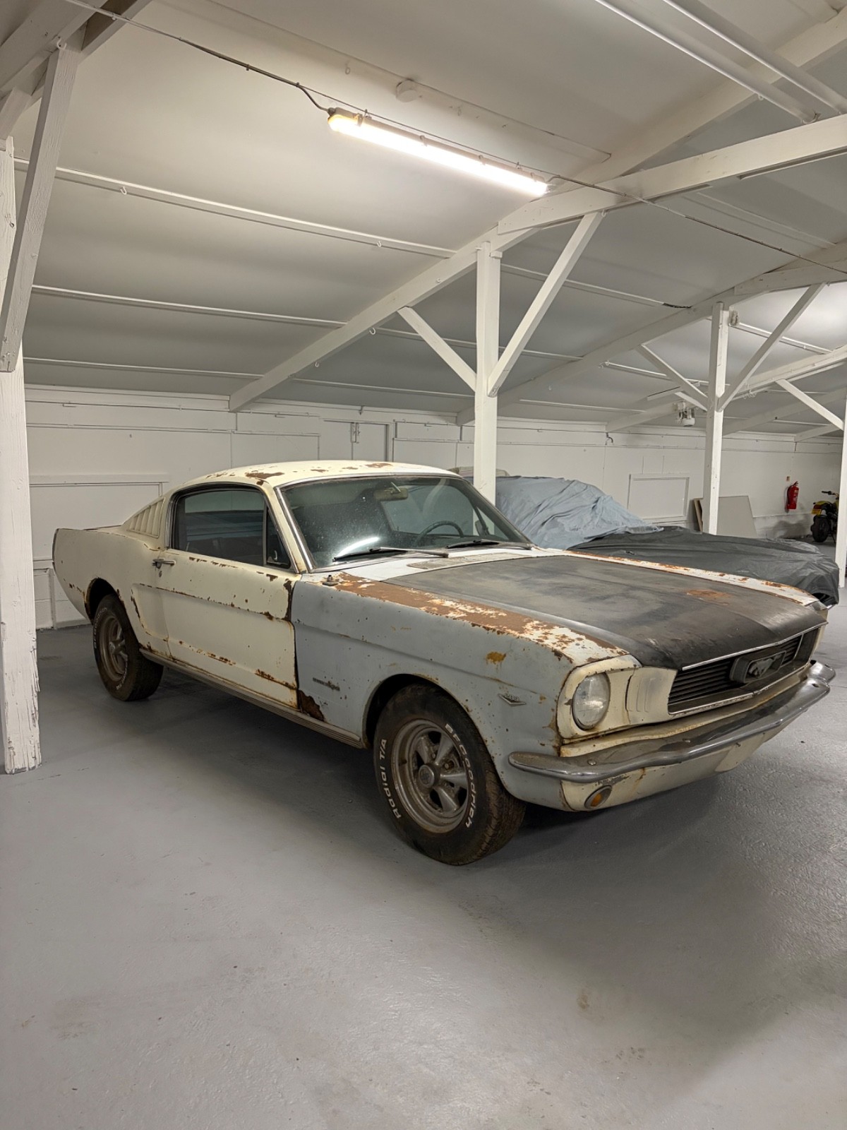 1966 Ford Fastback Mustang