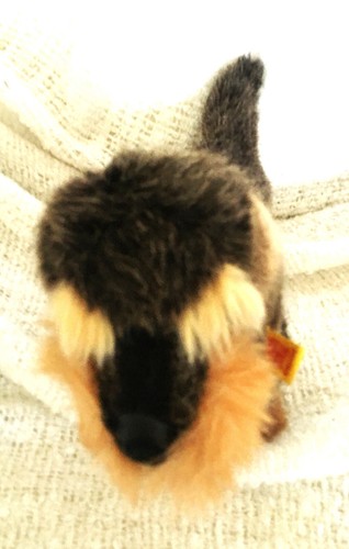 Steiff Kuscheltier Rauhaar Dackel "Raudi" sucht ein neues Zuhause - Bild 3 von 5