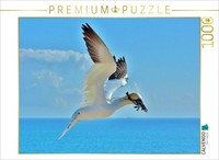 Calvendo Puzzle Northern Gannet On Approach | 1000 Pieces, Finished Size 25.2 ×