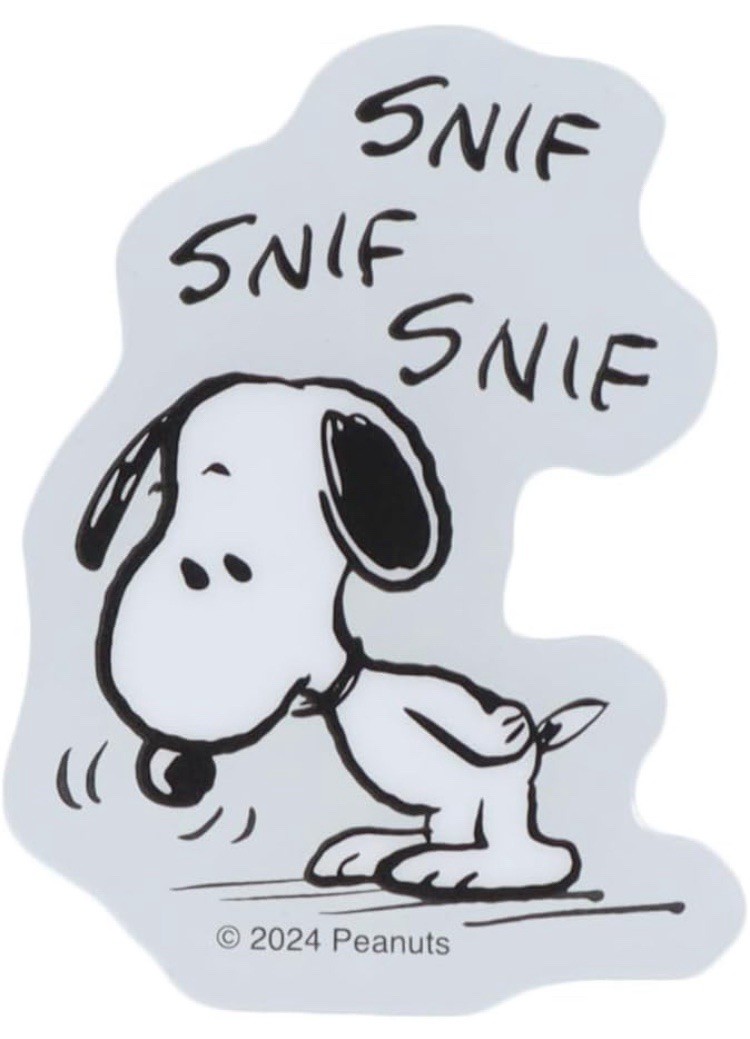 Peanuts Snoopy acrylic sticker SNIF Play with Color Sun Star