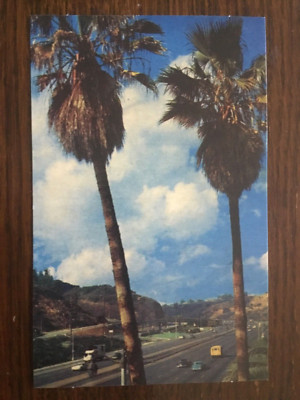 JIMI HENDRIX 1965 WRITTEN POSTCARD FROM HOLLYWOOD TOUR WITH LITTLE RICHARD Repro