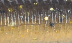 Artificiale spinning Herakles R-SNAKE 5.5" creatura salata scent soft bait - Immagine 4 di 4