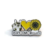 NA Lapel Pin 12 Step Recovery Gifts Alcoholics Narcotics Anonymous