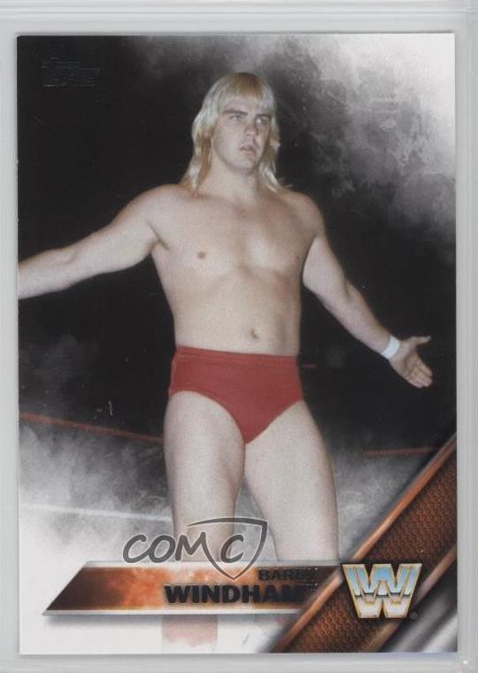 2016 Topps WWE Barry Windham #54 1m8