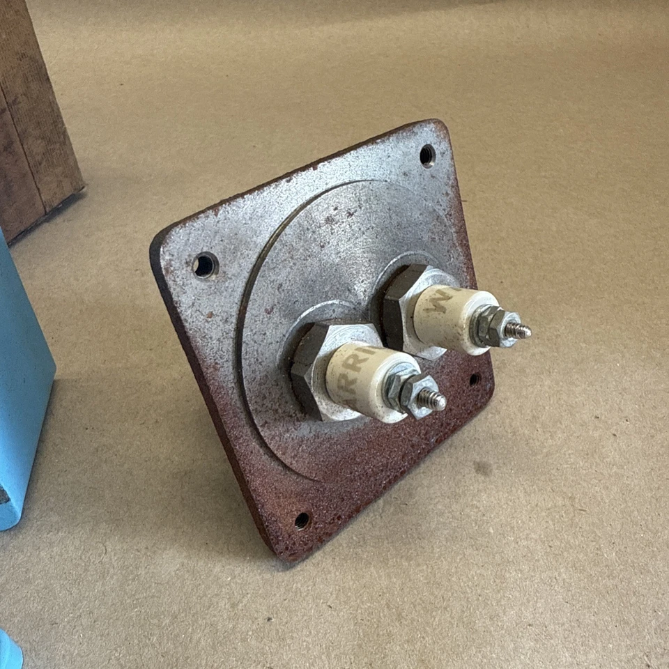 Montaje de electrodo Warrick Controls 3E2A 2 sondas Foto 3 de 4