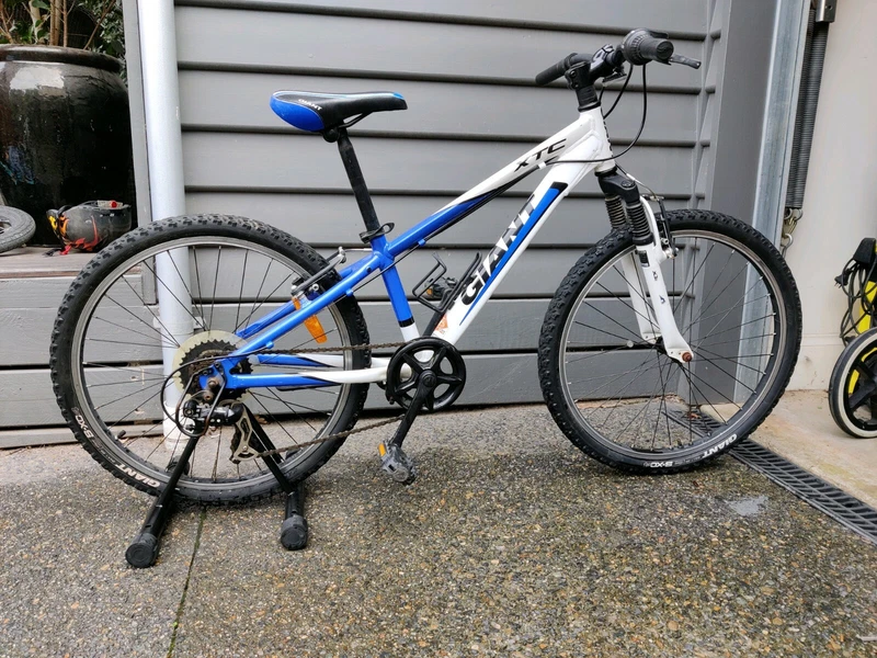 gumtree 24 inch bike