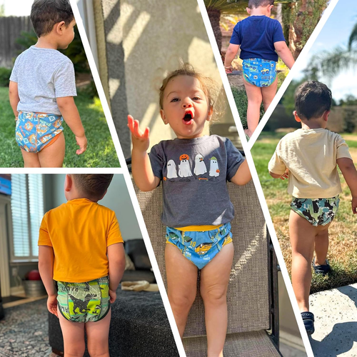 Potty Training Underwear 10 Packs Absorbent Toddler Training Pants for Boys and - Picture 6 of 12