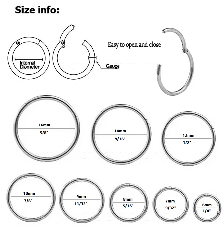 Pendiente aro anillo segmento sin costuras con bisagras cartílago tragus labret tabique Foto 4 de 4