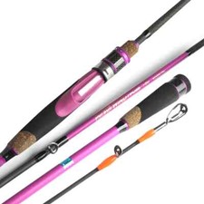 Light Fishing Rod Spinning Lure WT 20-100g 30-150g 2 Sections Rod