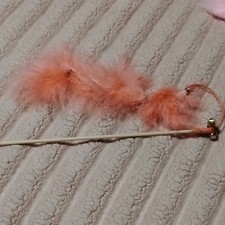 Salmon Pink Feather Cat Teaser Wand Toy with Bells, Interactive Play