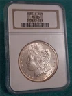 1881-S MORGAN S$1 SILVER DOLLAR  NGC MS 65                              #MF-2432