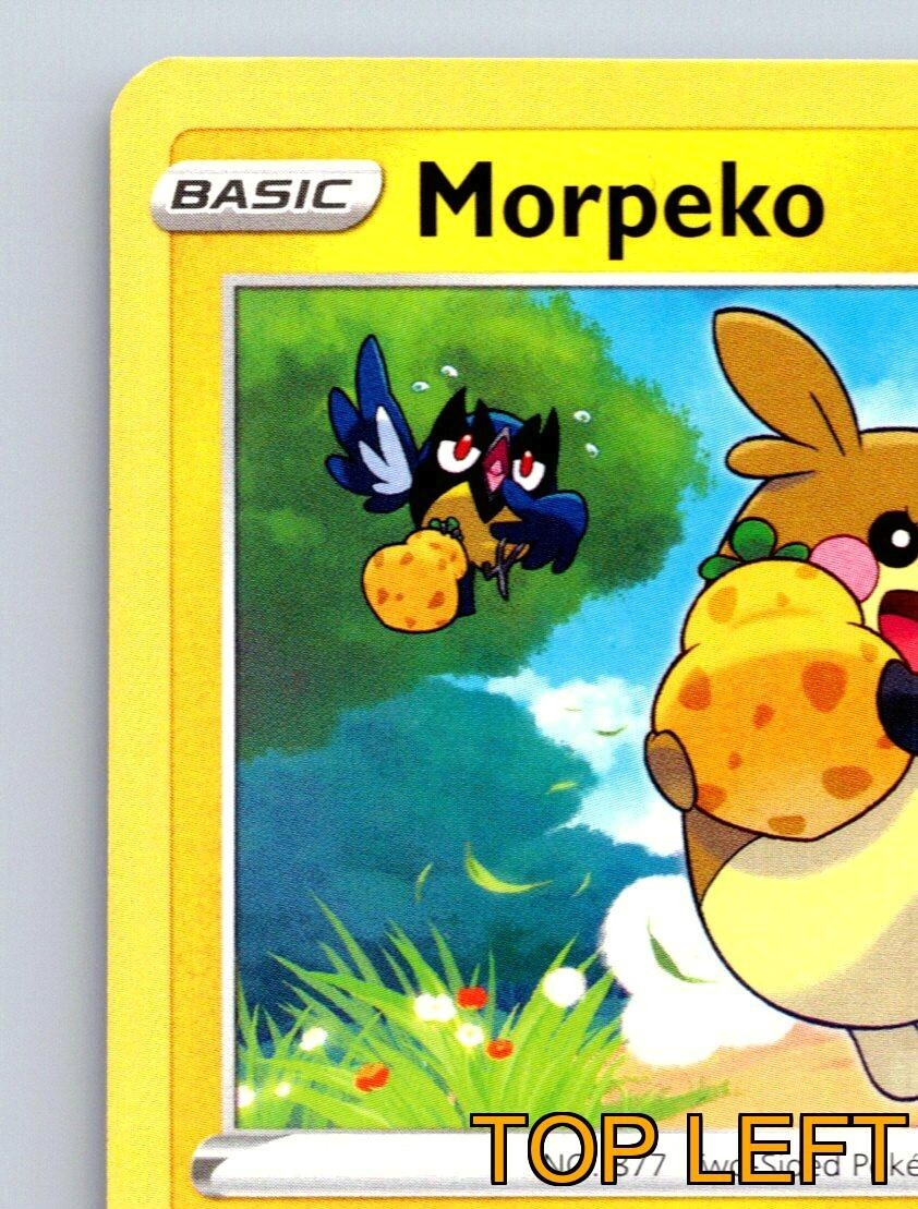 Morpeko HP 80 Thunder Shock Attack Rarity Bright Yellow Pokémon | eBay