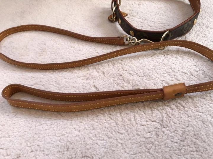 LOUIS VUITTON Collier Baxter MM Dog Collar SL0929 & Leash Set