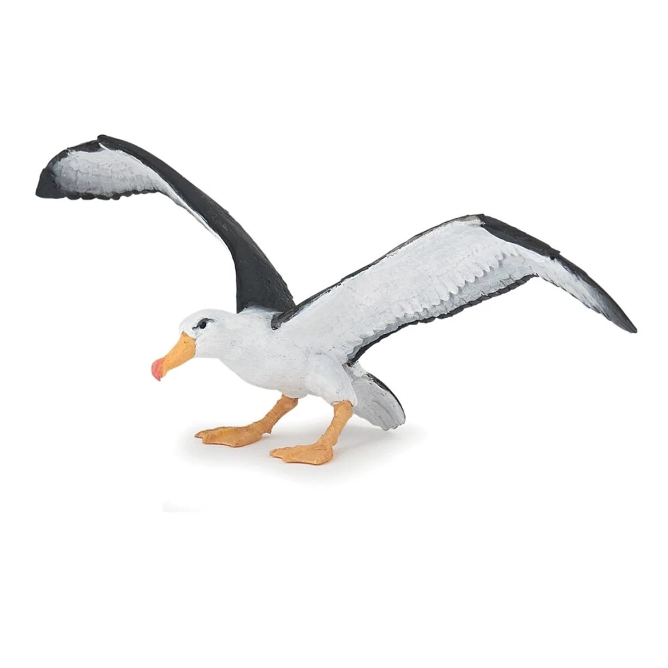 Papo 56038 - Meereswelt - Albatros - Bild 1 von 1