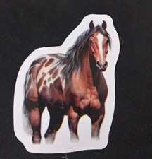 Beautiful Wild Horse Sticker 2.38" x 2.25" C 