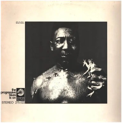 Muddy Waters After The Rain Chess Vinyl LP