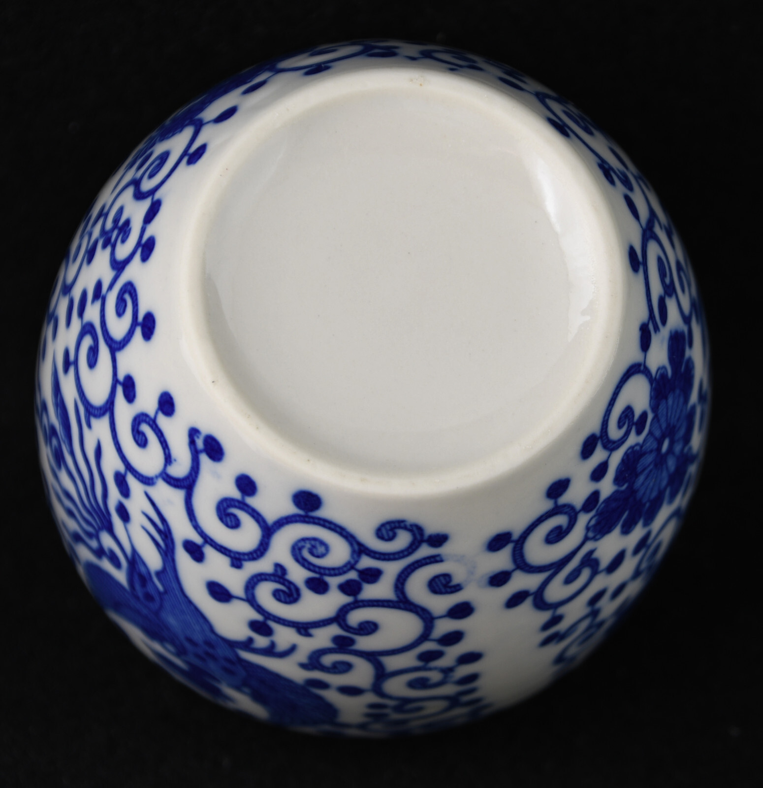 Foto 7 di 7