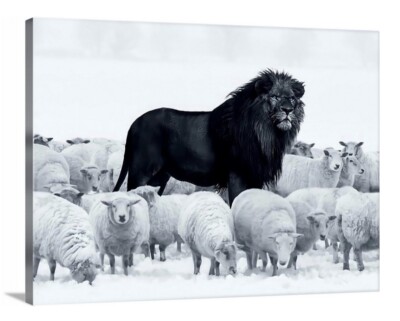 Lion Among Sheep Canvas Wall Art 18x24 Powerful Strong Entrepreneur