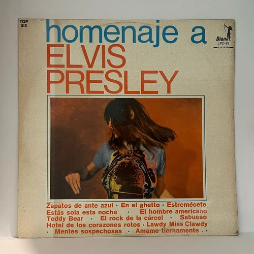 HOMENAJE A ELVIS PRESLEY - UNKNOWN ARTIST - MEXICAN LP, ROCK AND ROLL