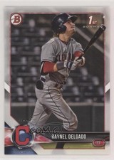 2018 Bowman Draft Raynel Delgado #BD-176 1u6