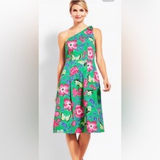 Talbots RSVP Butterfly Garden Party Floral Dress Size 8P