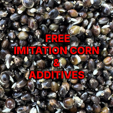 Premium Hemp & Garlic, fresh, 5kg, fishing particle 4.00 per kilo