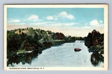 Monticello NY-New York Neversink River Vintage Postcard