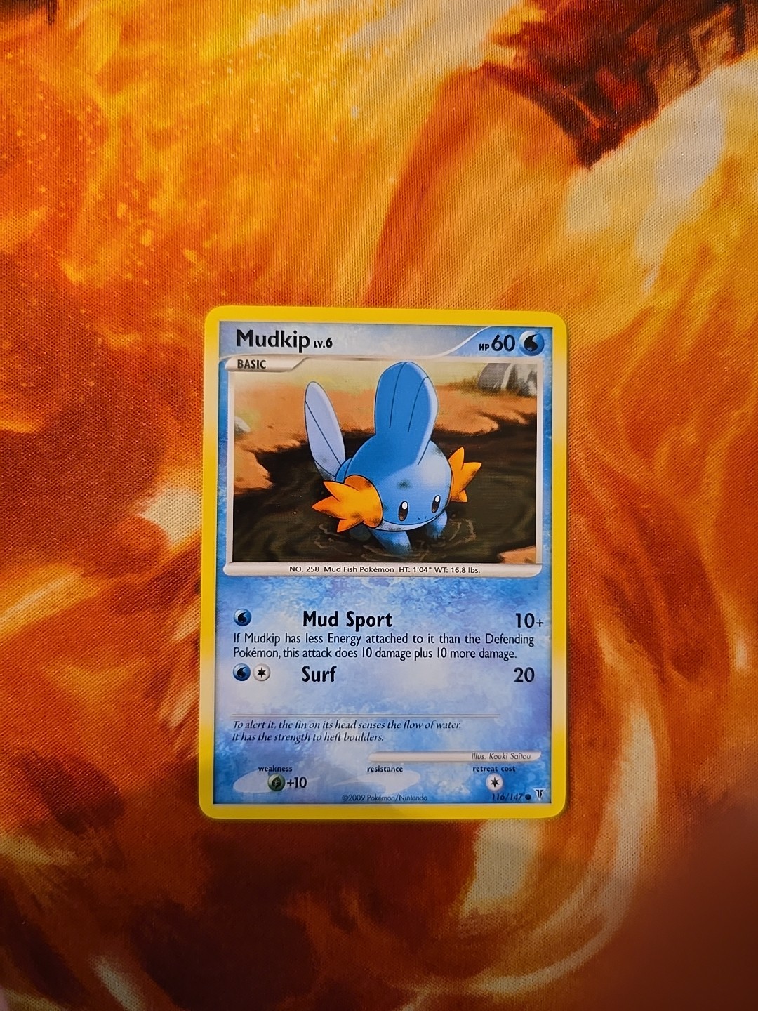 Pokémon TCG Mudkip Supreme Victors Card 116/147 Regular Common