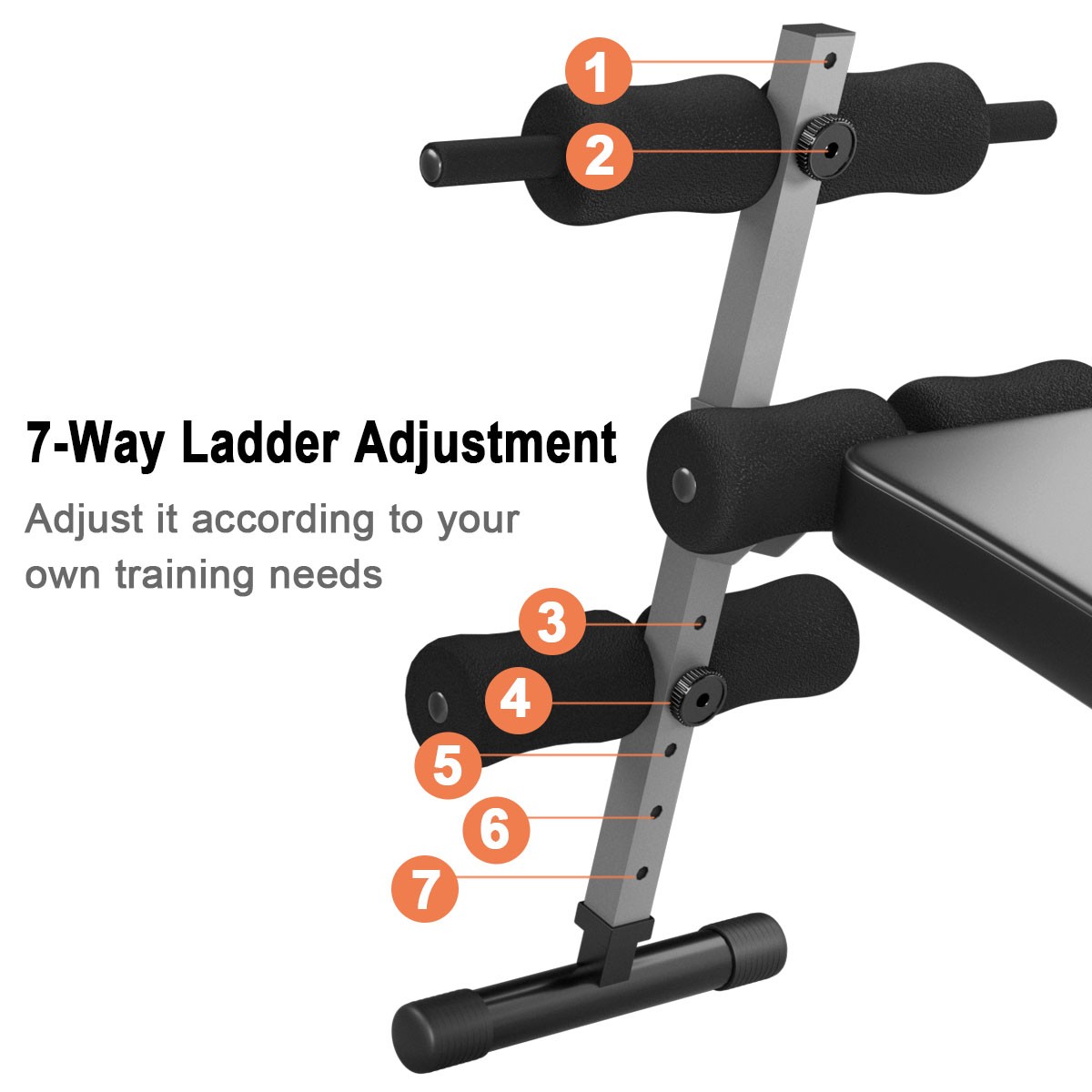 Adjustable Arc-Shaped Decline Sit up Slant Bench Crunch Board Fitness Workout
