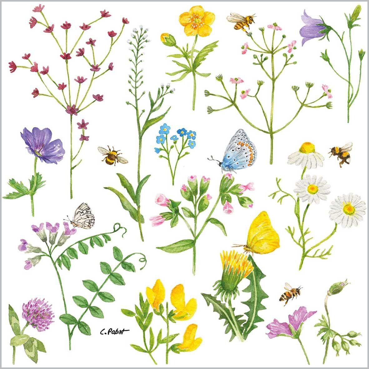 4 x Paper Napkins/3Ply/33cm/Decoupage/Spring  Meadow Flowers/Yellows/Pinks