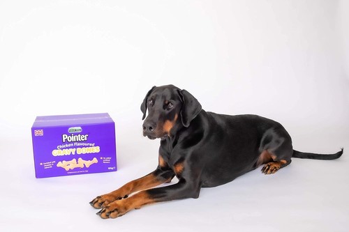Chewdles Pointer Chicken Flavour Gravy Bones 10kg - 第 7/13 張圖片